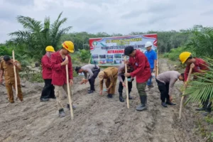 Dukung Program Asta Cita Presiden RI, PT CAS Tanam Jagung Pipil Periode II